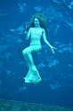 Kids_WeekiWachee-Mermaids (9)
